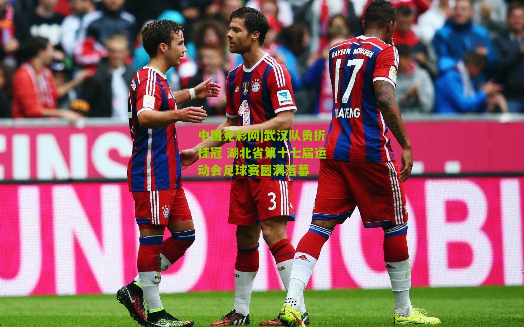 武汉队勇折桂冠 湖北省第十七届运动会足球赛圆满落幕